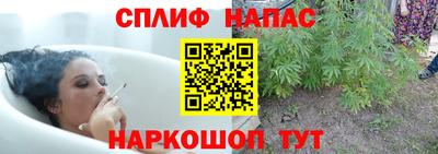 сатива Гусь-Хрустальный