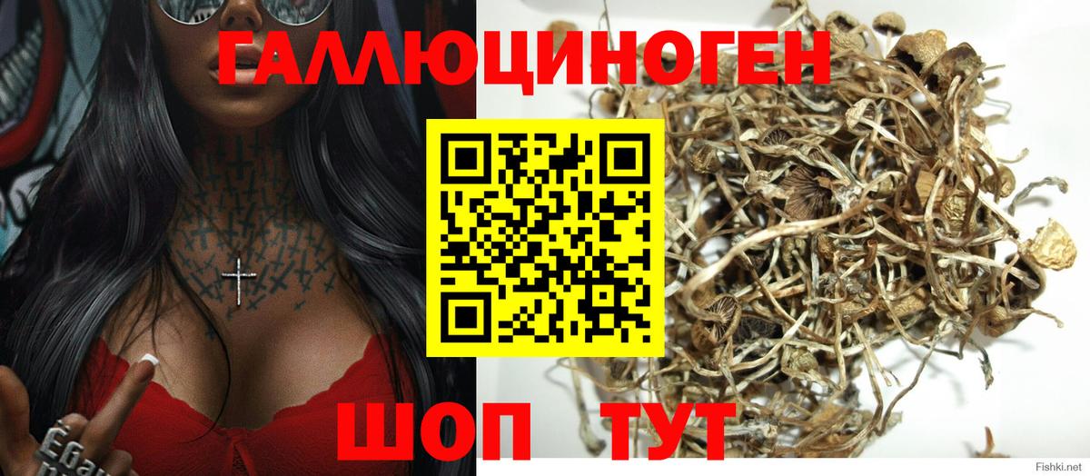 Псилоцибиновые грибы прущие грибы  Псилоцибиновые грибы Psilocybine cubensis  Ногинск  Вход с VPN 